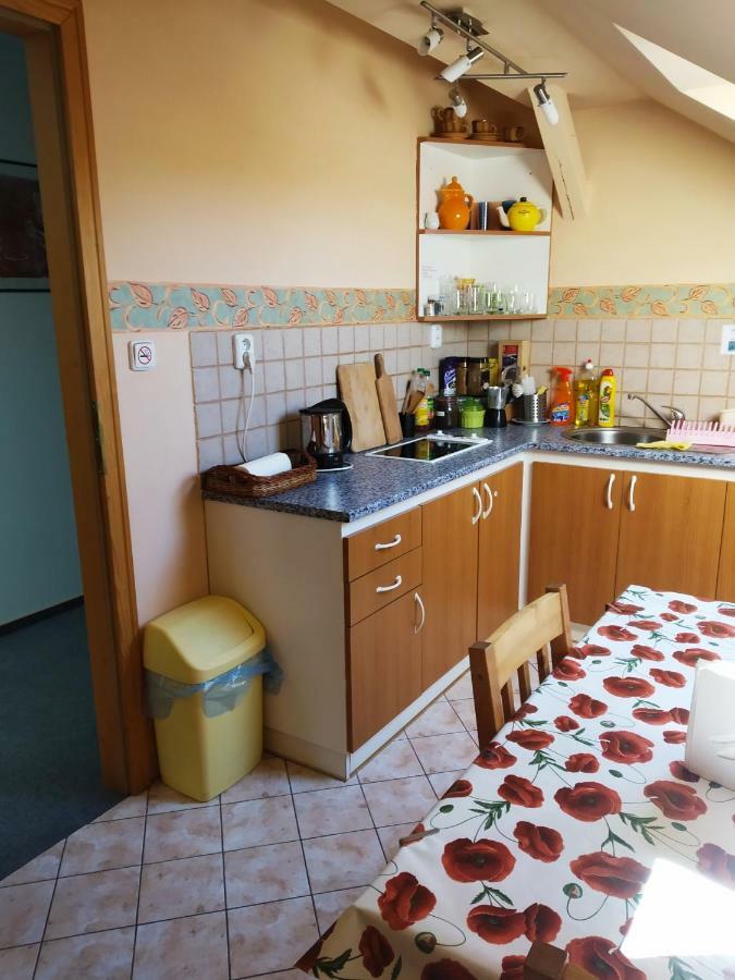 Ubytovani Poustka Frantiskovy Lazne Ngoại thất bức ảnh